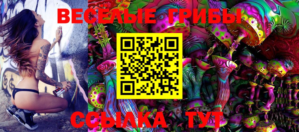 Псилоцибиновые грибы MAGIC MUSHROOMS  купить наркоту  Прокопьевск  Галлюциногенные грибы мицелий  Вход с VPN 